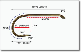 hook anatomy