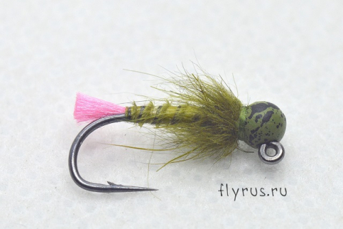 Jig Biot Nymph Hare Olive